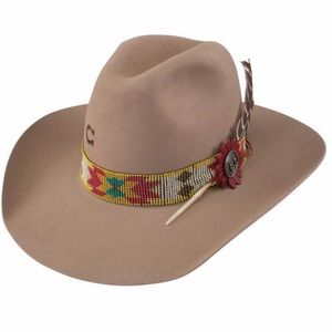 Charlie 1 Horse Nobody’s Baby